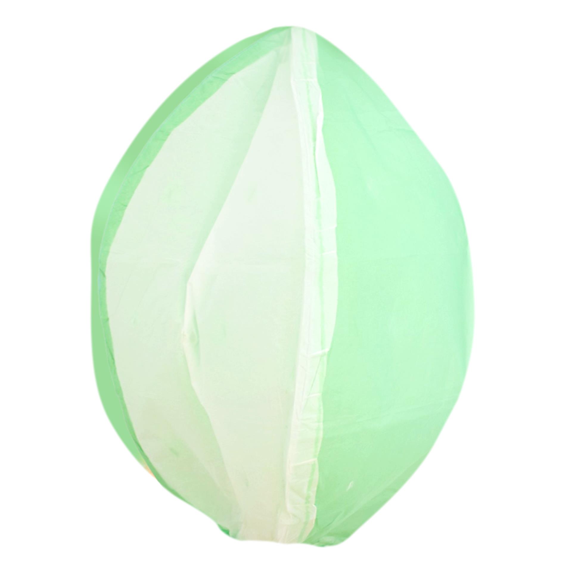 Balão de S. João | Balão de Ar Quente