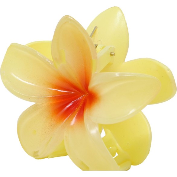 Gancho Flor Tropical Cabelo