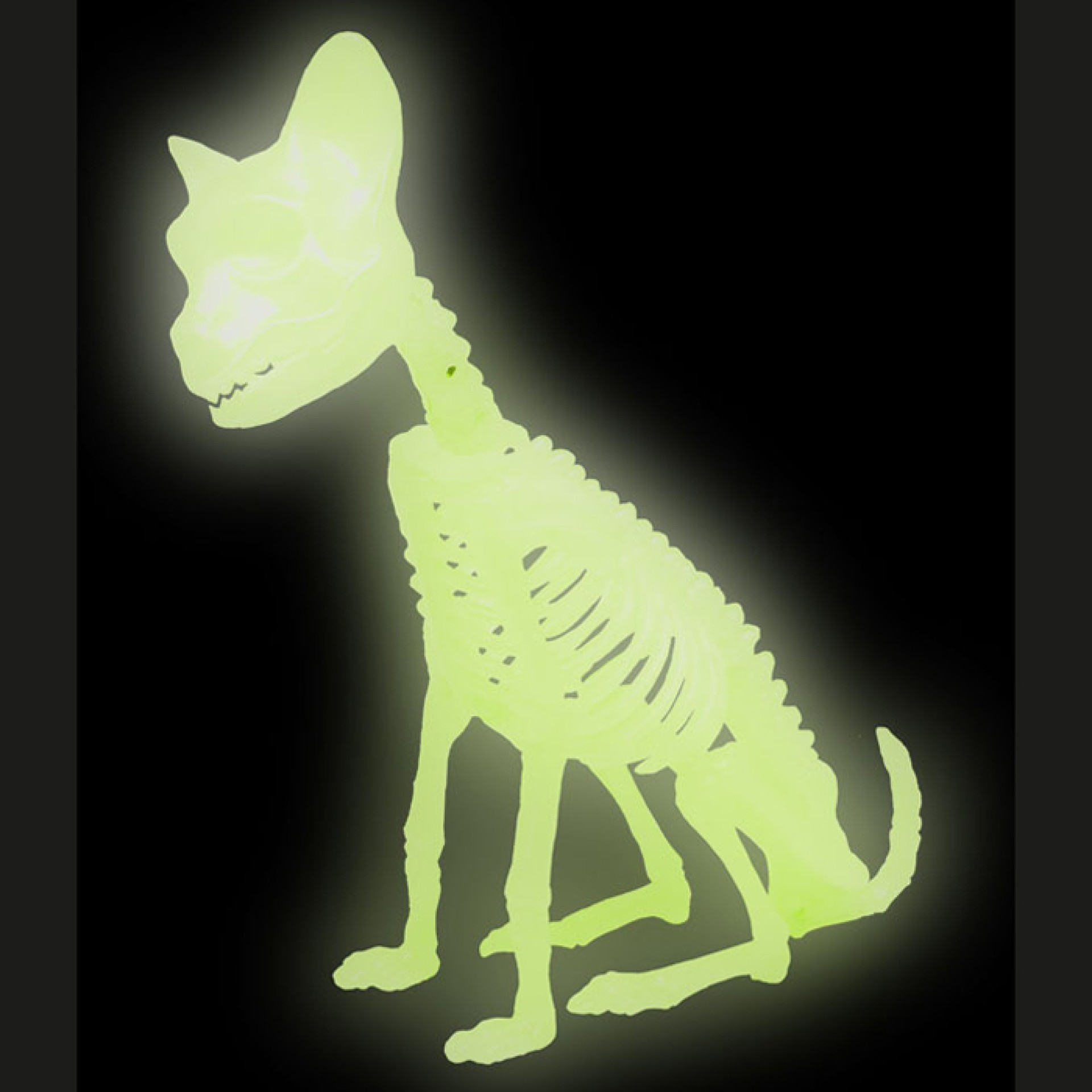 Esqueleto Gato Glow In The Dark