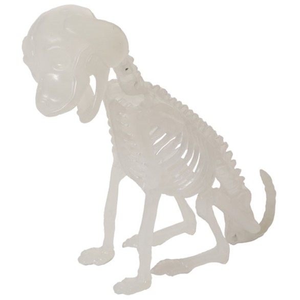 Esqueleto Cão Glow In The Dark