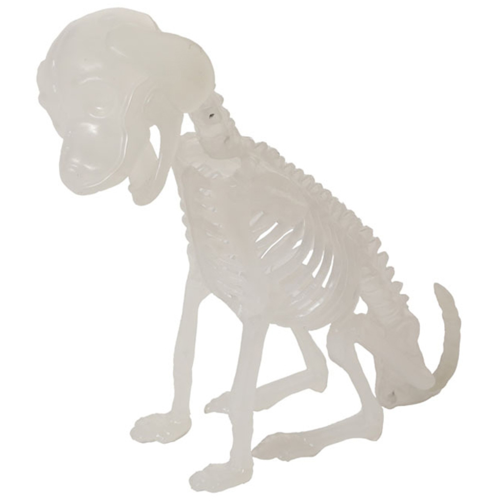 Esqueleto Cão Glow In The Dark