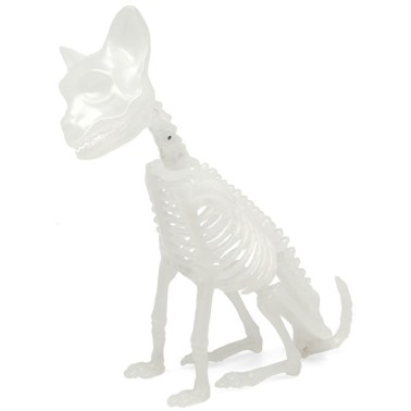 Esqueleto Gato Glow In The Dark