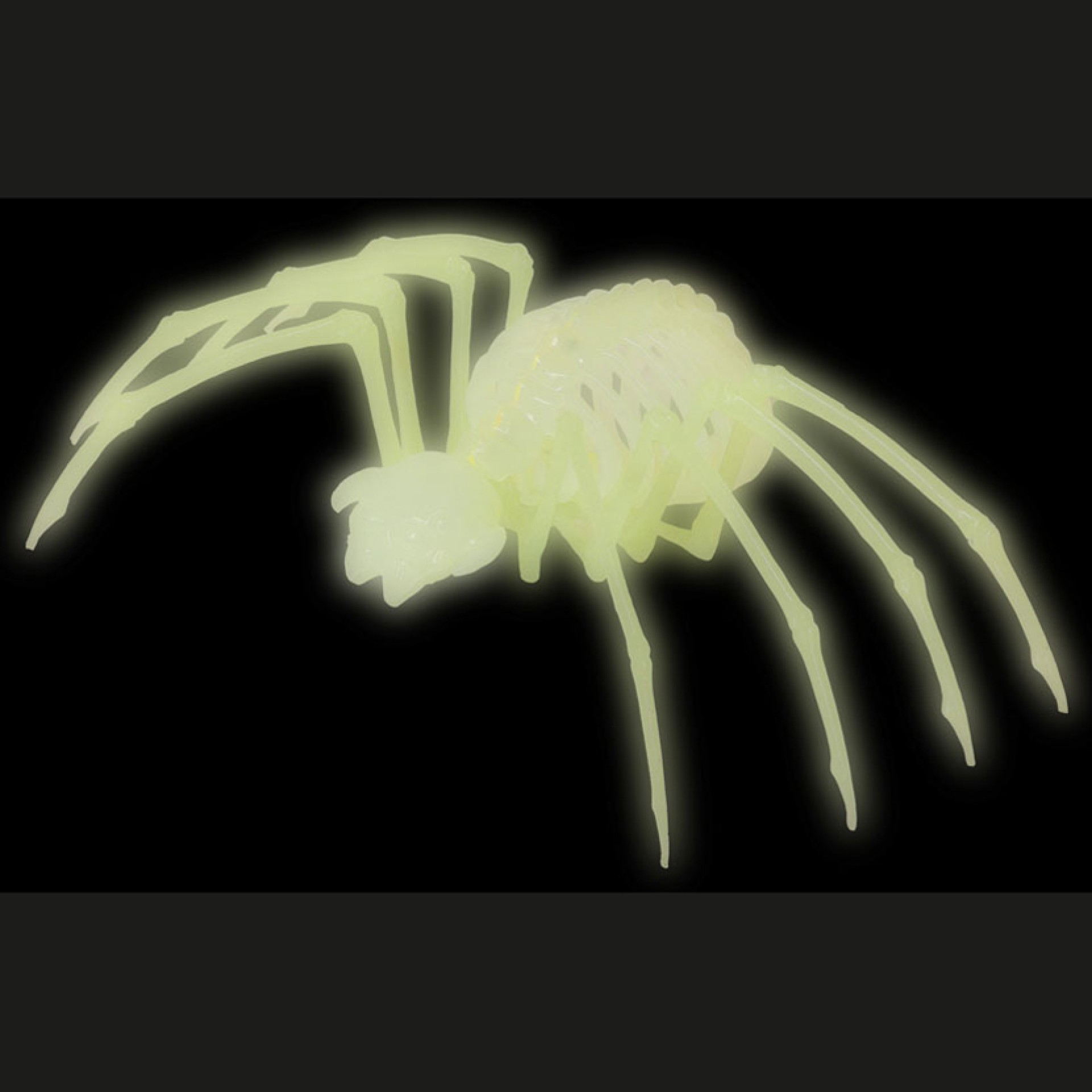 Esqueleto Aranha Glow In The Dark