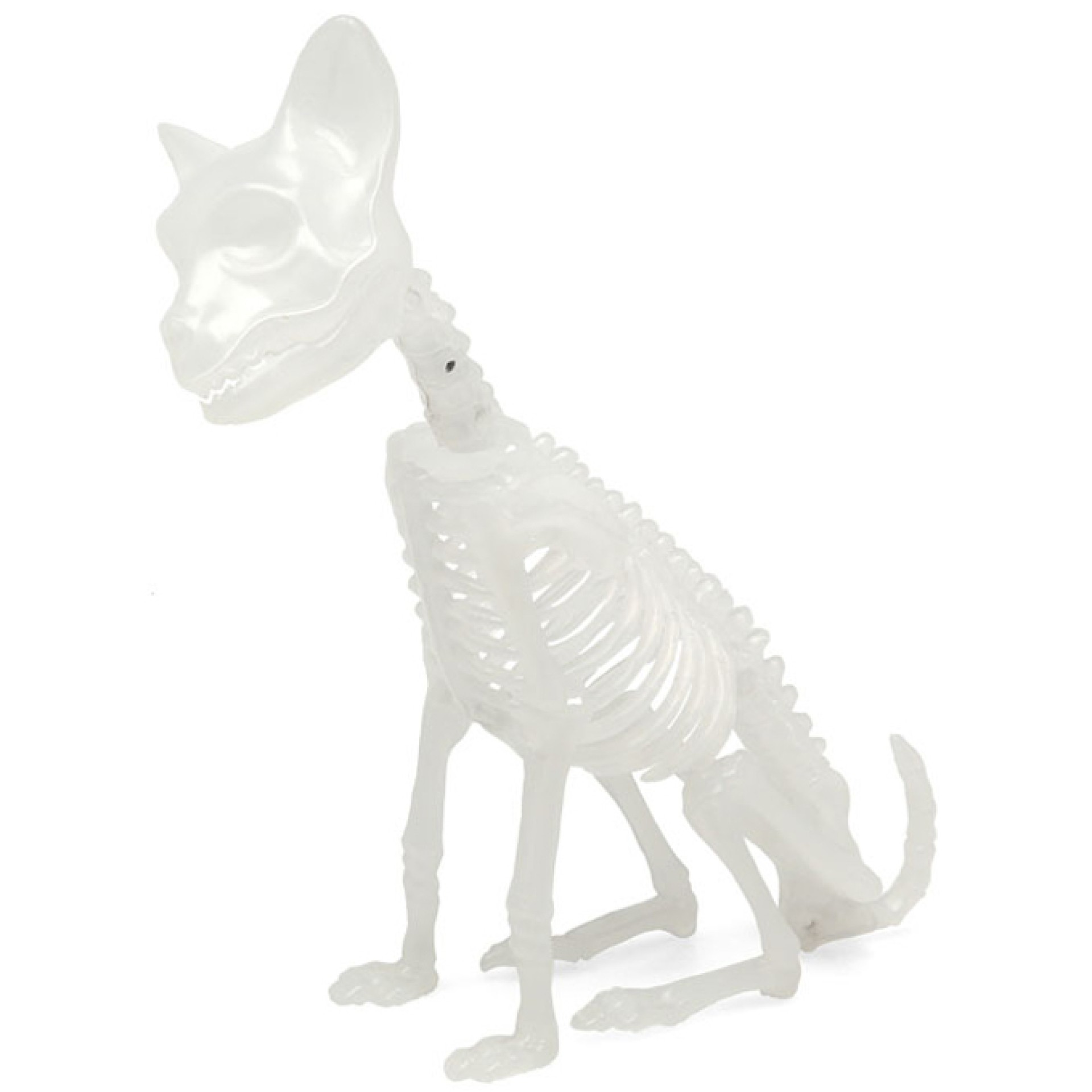 Esqueleto Gato Glow In The Dark