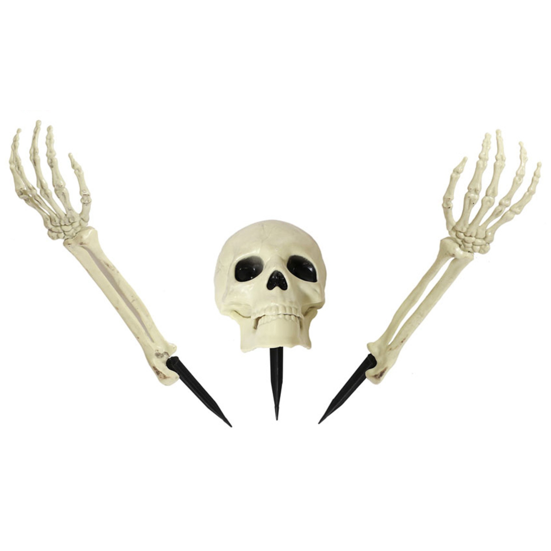 Esqueleto a sair da Terra