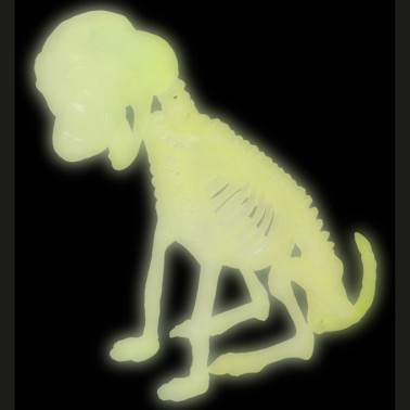 Esqueleto Co Glow In The Dark