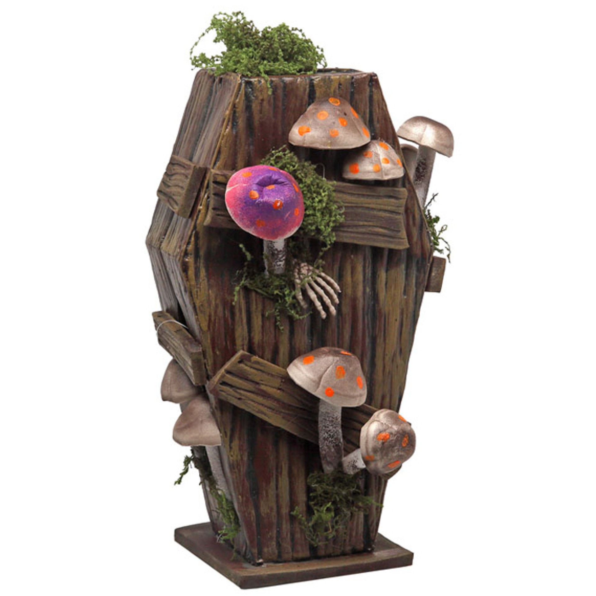 Caixão com Cogumelos