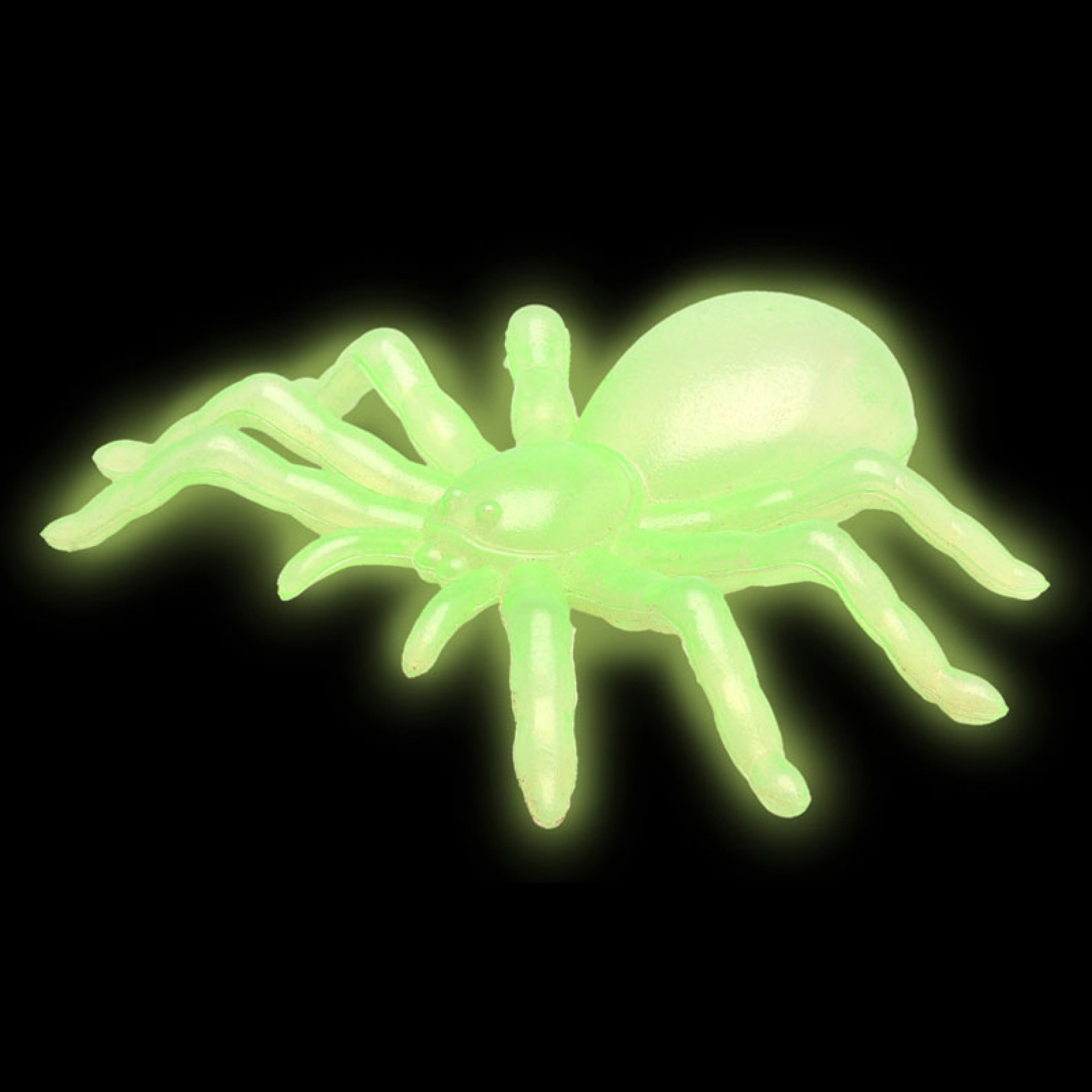 Aranhas Glow In The Dark 2 Unid
