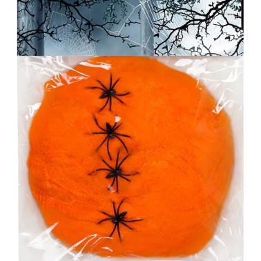 Teia Aranha Laranja