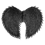 Asas Anjo Negro
