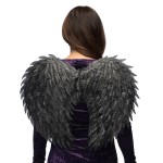 Asas Anjo Negro