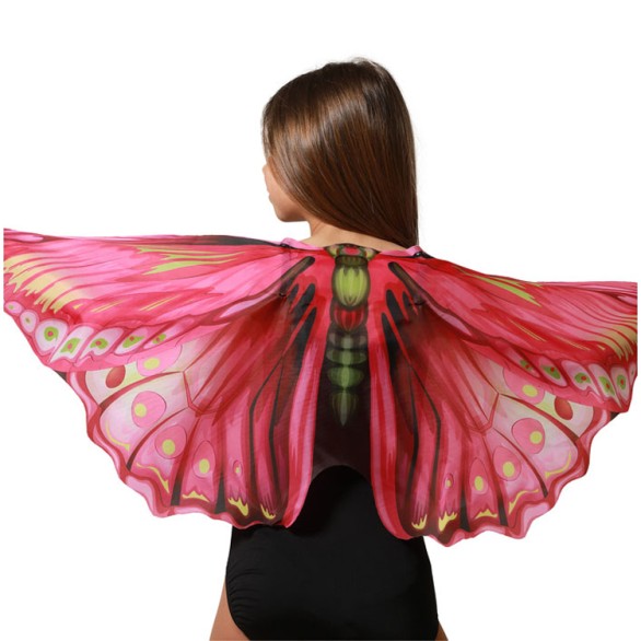 Asas Borboleta das Flores