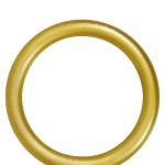 An�is Sonic Dourados