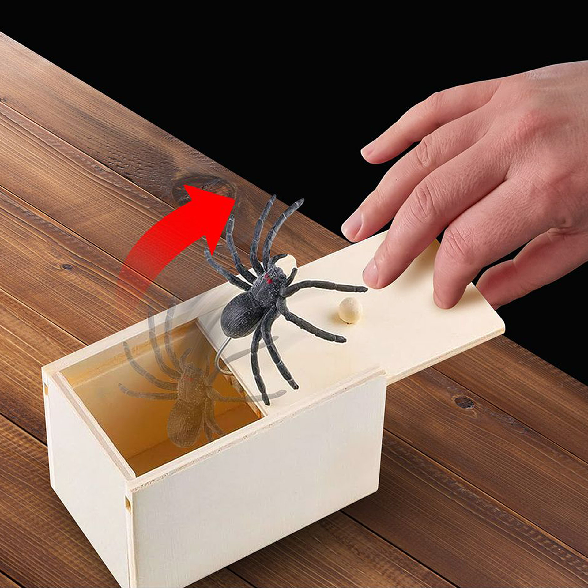 Caixa Aranha Surpresa