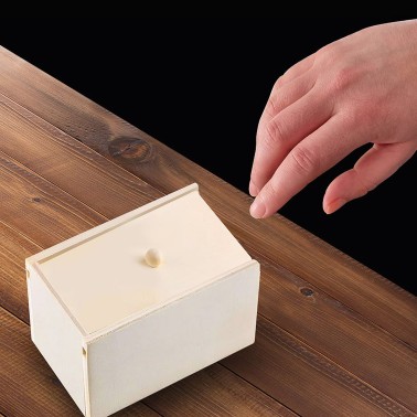 Caixa Aranha Surpresa