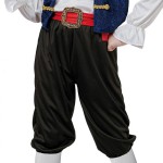 Fato o Pirata Navegador