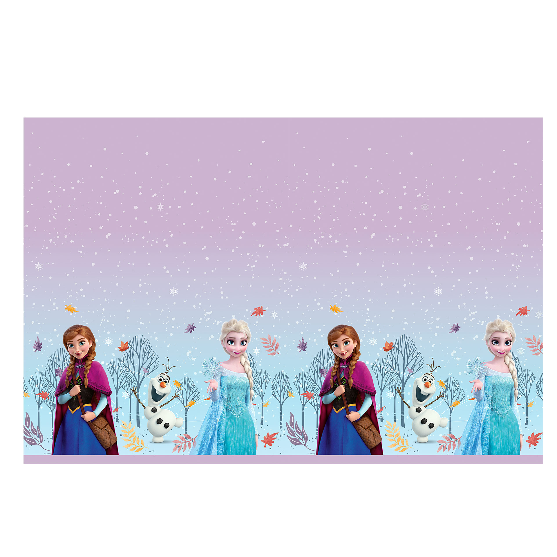 Toalha Frozen Wonder