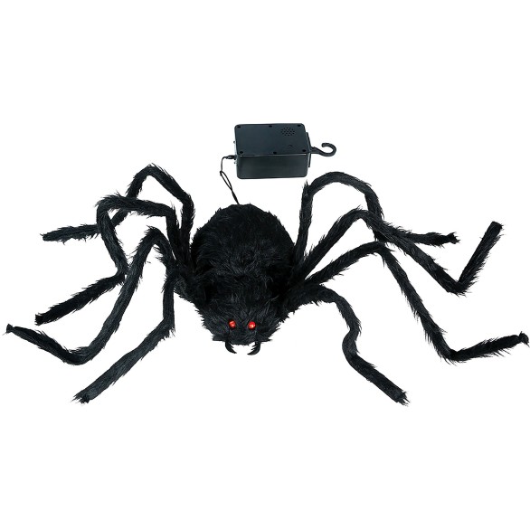 Aranha Surpresa Sobe e Desce