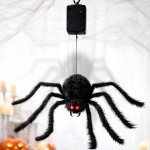 Aranha Surpresa Sobe e Desce