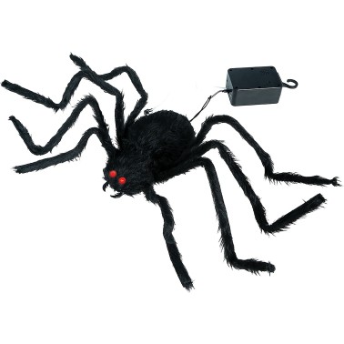 Aranha Surpresa Sobe e Desce