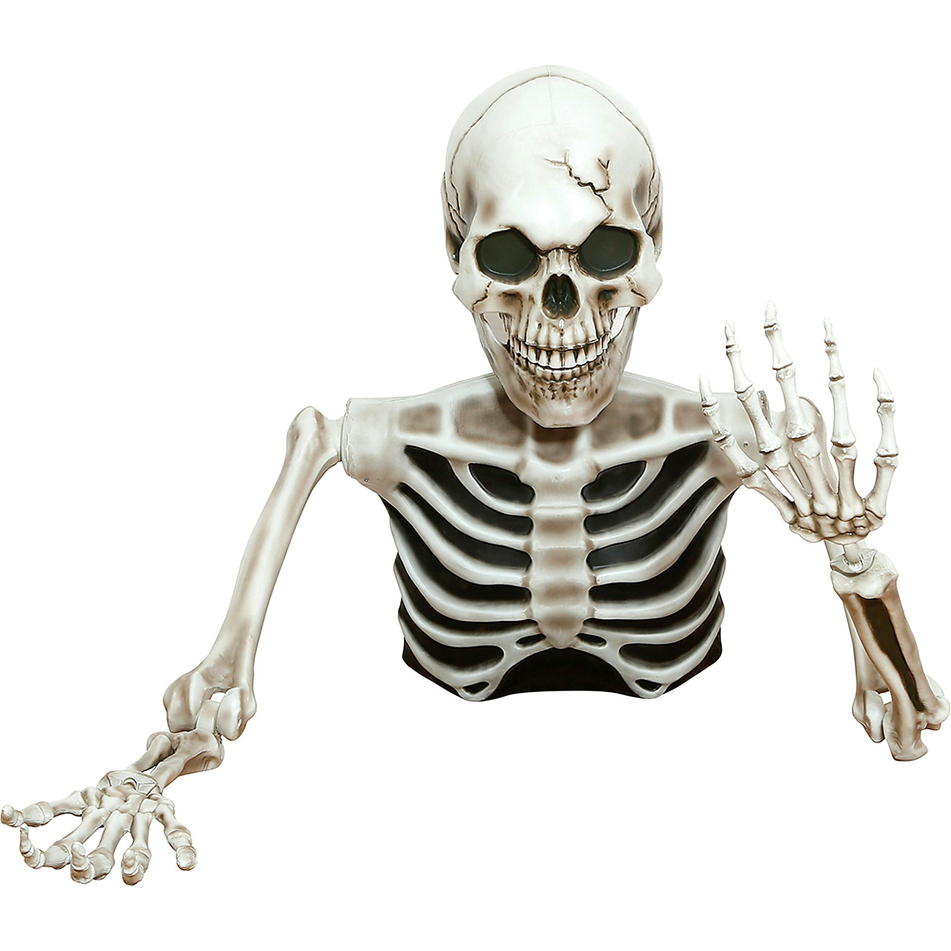 Meio Esqueleto Gigante decorativo