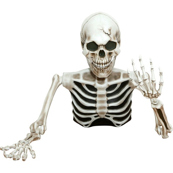 Meio Esqueleto Gigante decorativo