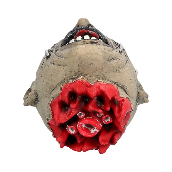 Cabeça Adulto Decapitado